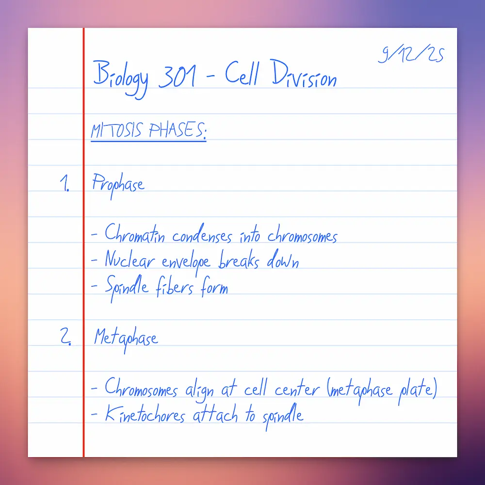 We'll be converting this handwritten PDF to Word